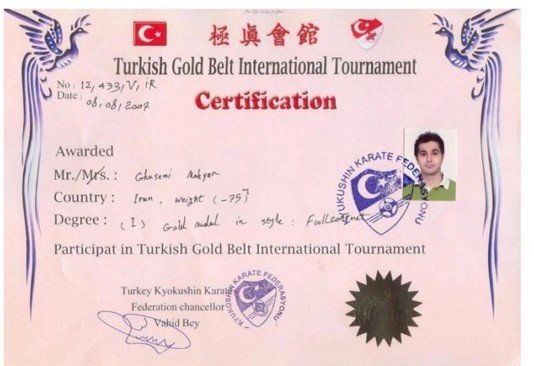 Turkish Gold Belt International Tournament certification, gold medal, full contact, 2007
